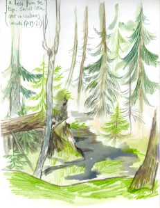 Illustration by Isabella Mazzanti.